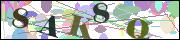 Spam bot protection (CAPTCHA)