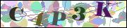 Spam bot protection (CAPTCHA)