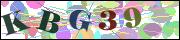 Spam bot protection (CAPTCHA)