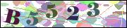 Spam bot protection (CAPTCHA)