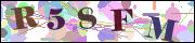 Spam bot protection (CAPTCHA)