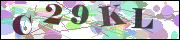 Spam bot protection (CAPTCHA)