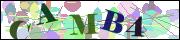 Spam bot protection (CAPTCHA)
