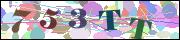Spam bot protection (CAPTCHA)