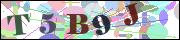 Spam bot protection (CAPTCHA)